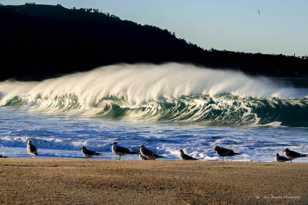 Wave at Carmel River Beach-0032 Wave at Carmel River Beach-0032